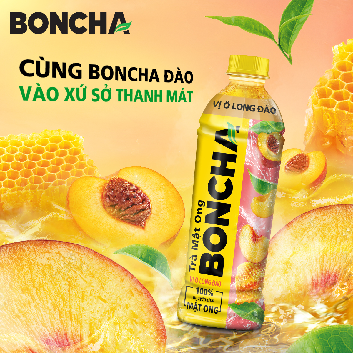 Hướng dẫn sử dụng và bảo quản Trà Mật Ong BONCHA